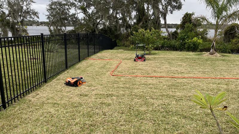 Had to progressively scalp the lawn to get it at a height the landroid could mow.