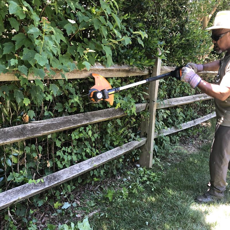 Cutting through brush