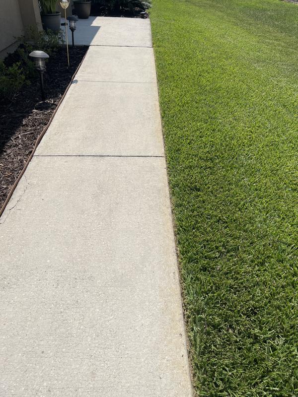 Photo - commentaire&nbsp;8.