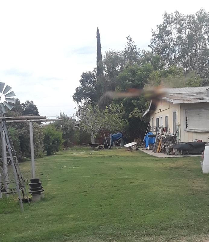 One small section of the yard