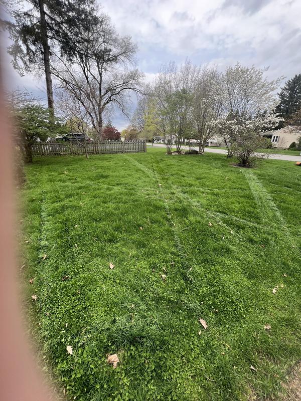 Photo - commentaire 3.