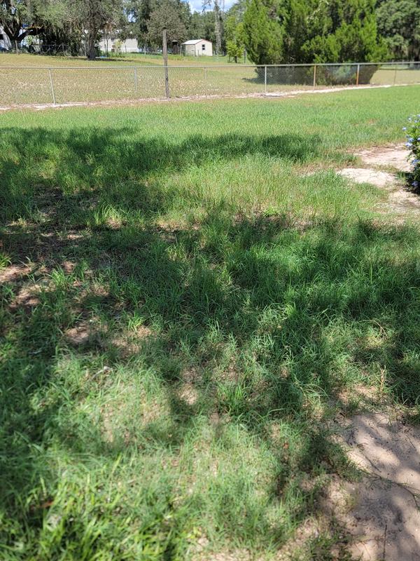 Sandy grass does not work for this lawn mower don't buy it