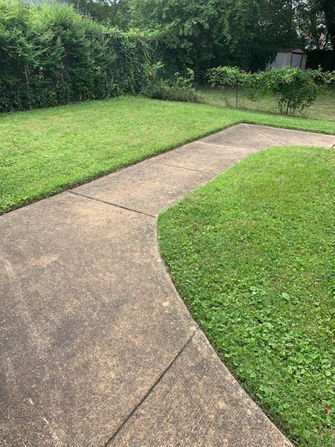 My Yard