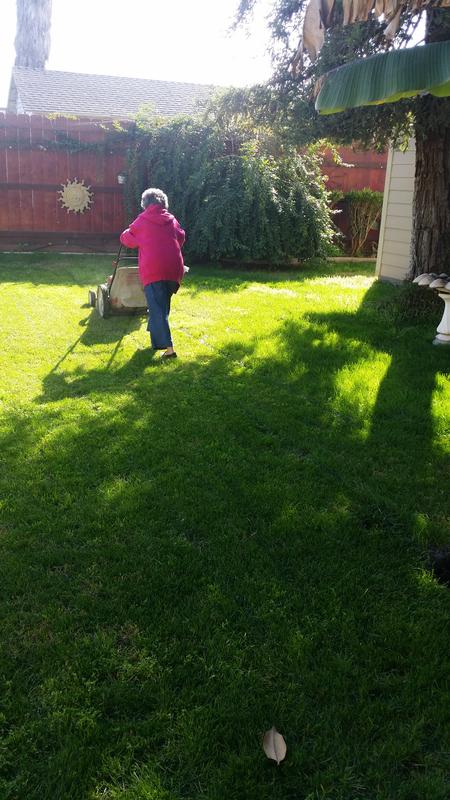 Pic of South side of yard. Just examples to see how large I am talking about.