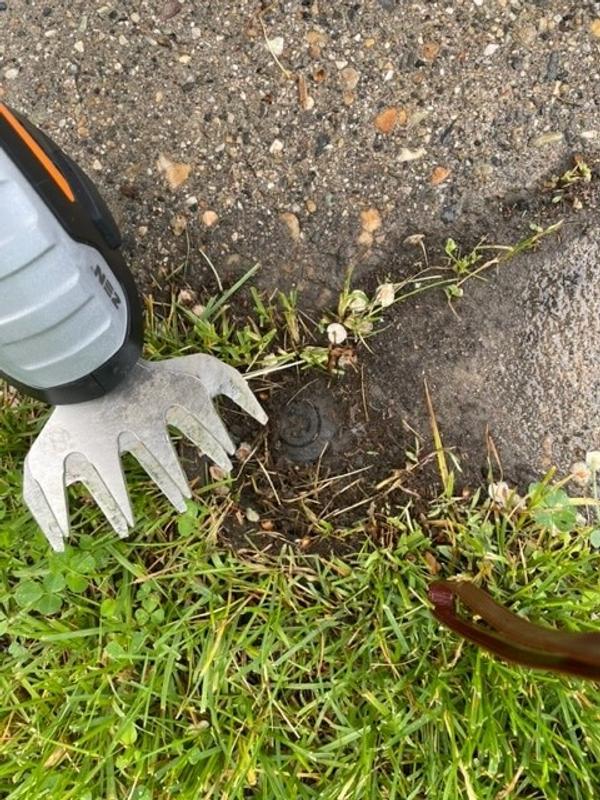 Trim grass around sprinkler heads.