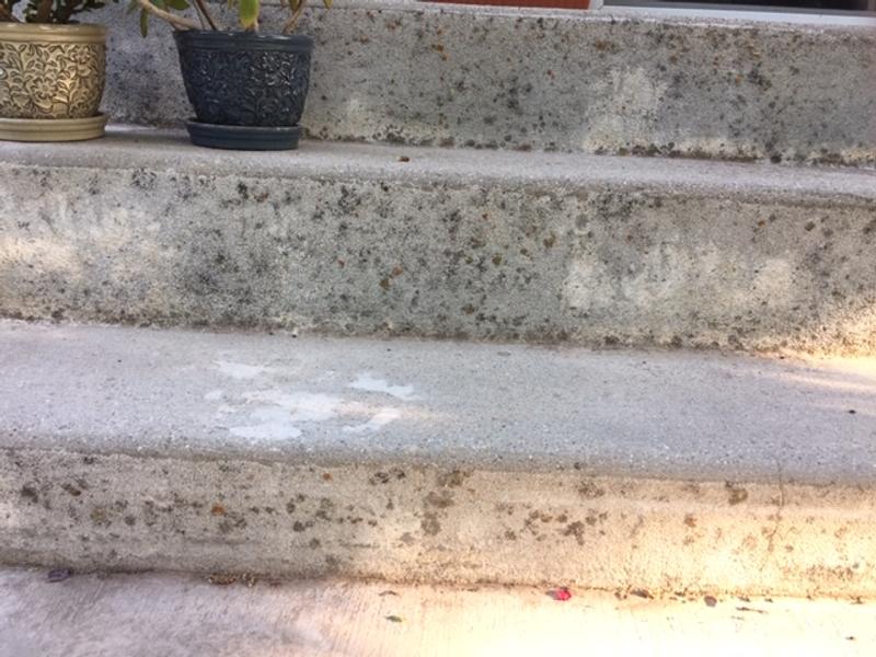 Back porch stairs before using the pressure washer