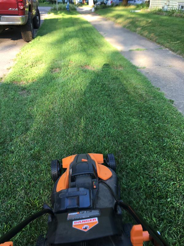 Mowed on the left...