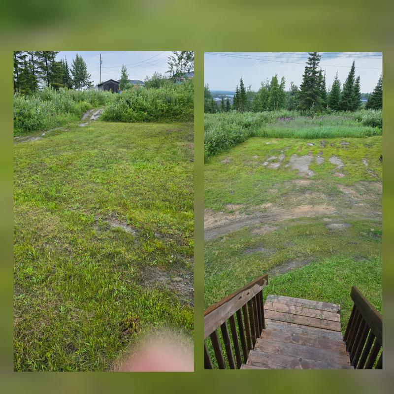 Pardon the patchy back yard. Snow plow did a number on it. Getting it seeded now.