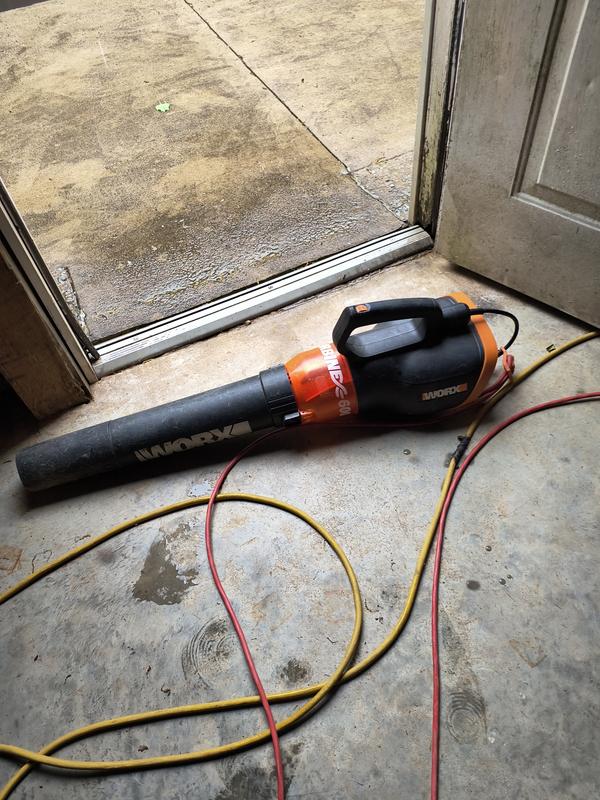 Had her for years, at least 5 years best strongest I've seen