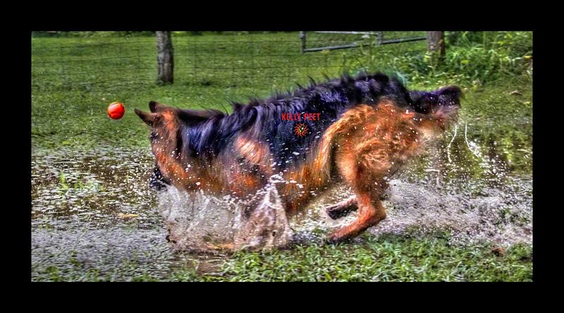 Playing ball in a MUDDY water puddle! TIME FOR THE WORX Hydroshot Portable Power Cleaner prior to house or RV entrance!
