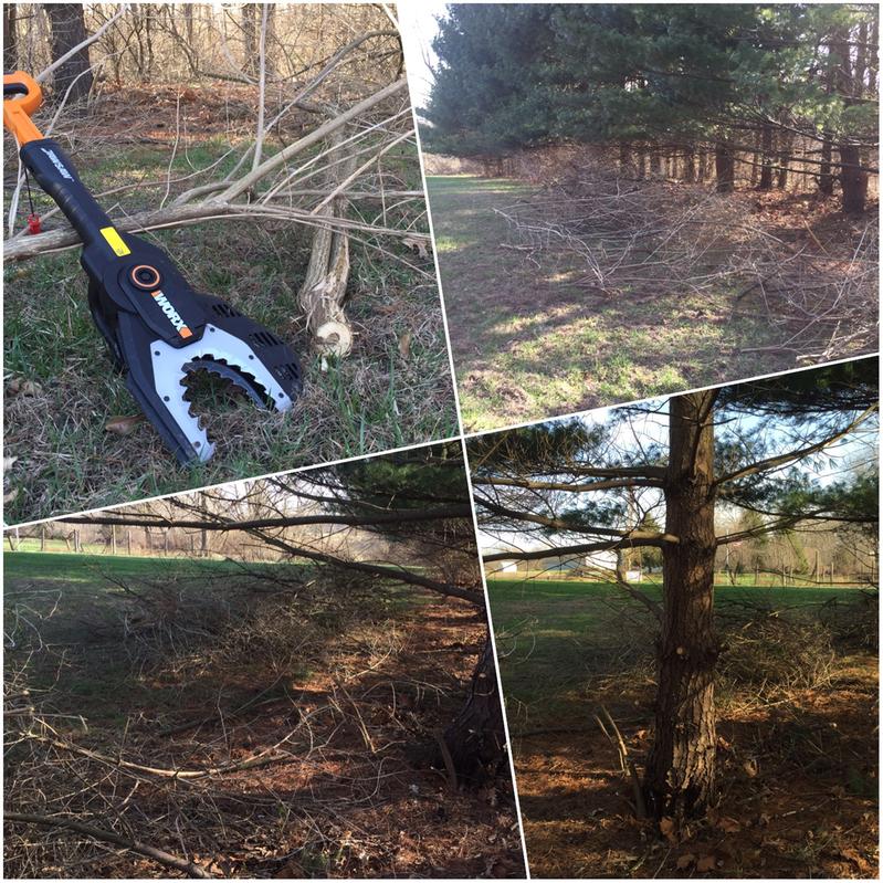 I was able to clear this much brush in less than one hour with the WORX JawSaw; it's an awesome tool!