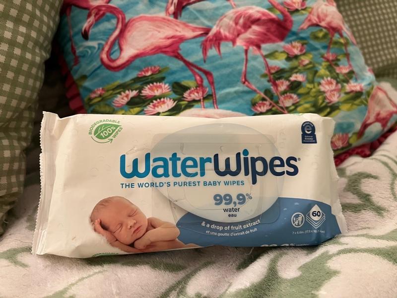WaterWipes Chemical Free Baby Wipes - 60 CT