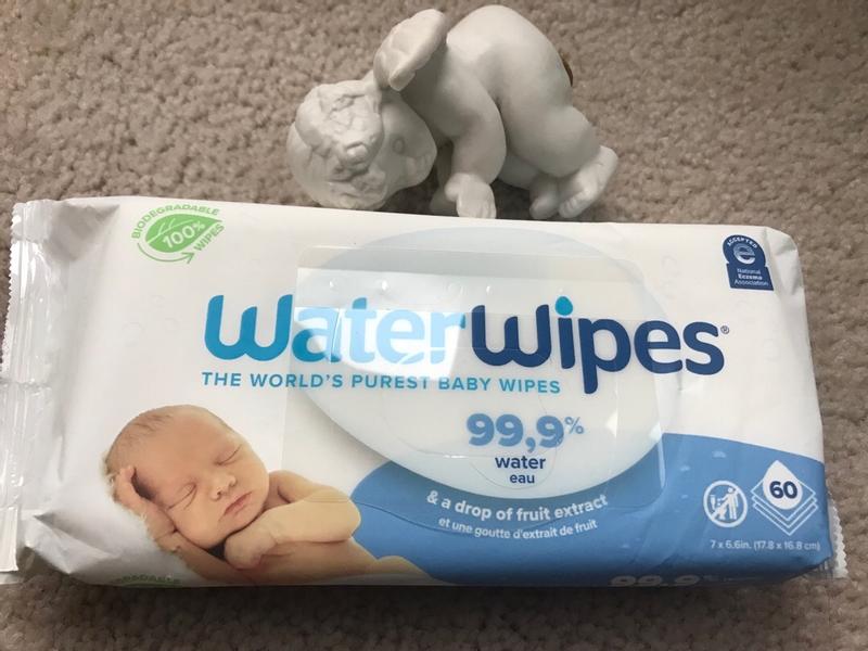 Wells 2024 water wipes