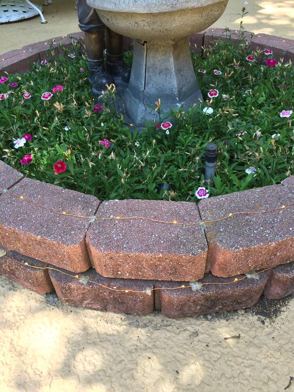 Old glue removed (Wagner Furno) on top row and reattached.  Old glue job on bottom row waiting for removal.