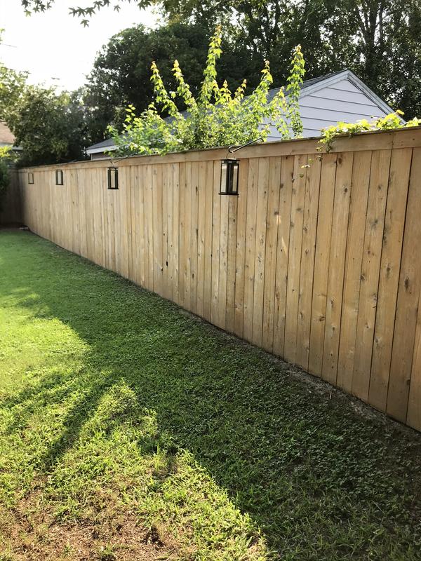 Tissting Lot de 100 mini clôtures en bois pour jardin, clôture de