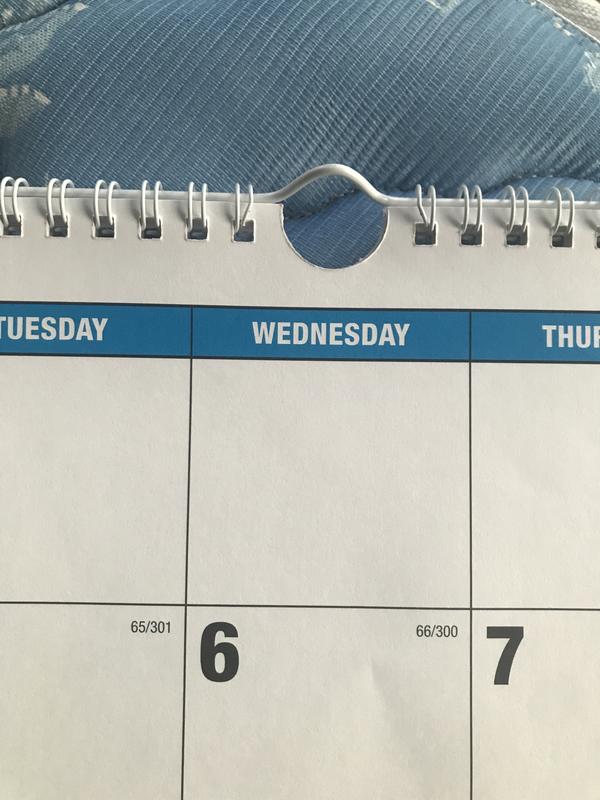 blue-sky-wall-calendar-walgreens