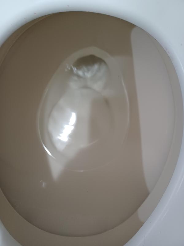 Lysol® Power Toilet Bowl Cleaner