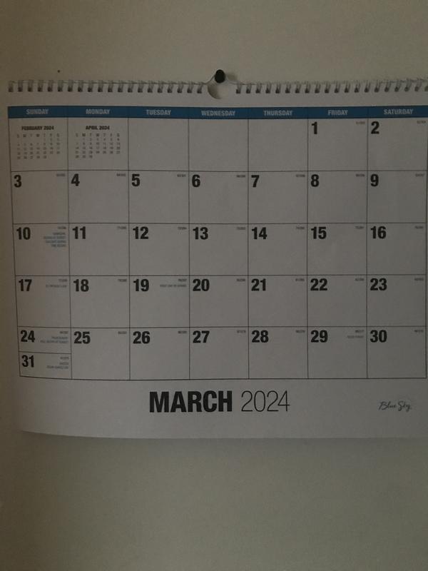 Blue Sky Wall Calendar | Walgreens
