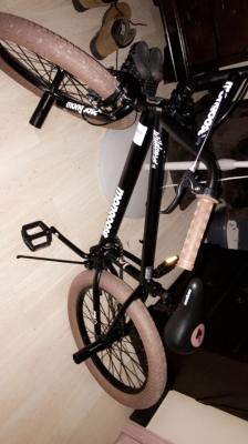 mongoose wildcard review