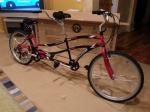 northwoods folding bike