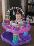 evenflo exersaucer sweet tea party