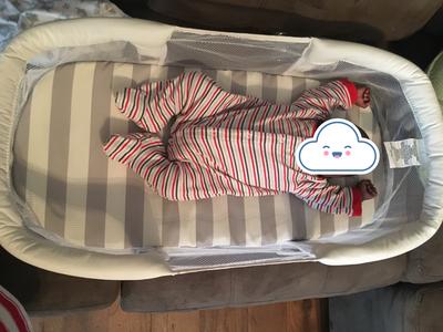 swaddleme by your side sleeper reviews