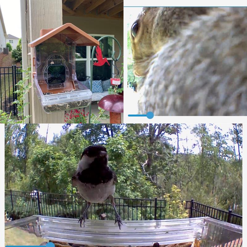 Wasserstein Bird Feeder Camera Case review