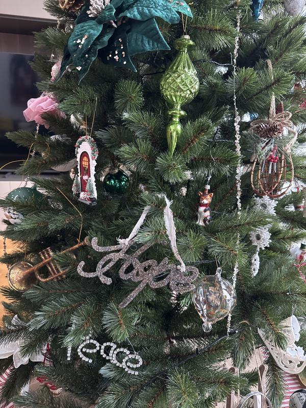 Great Christmas present!