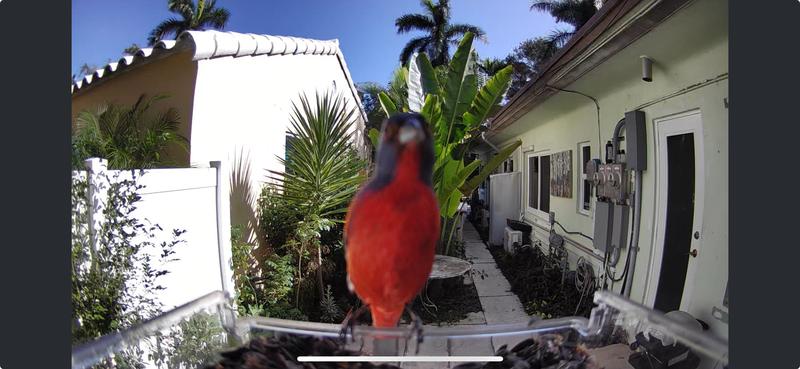 Photo from Bird Watcher