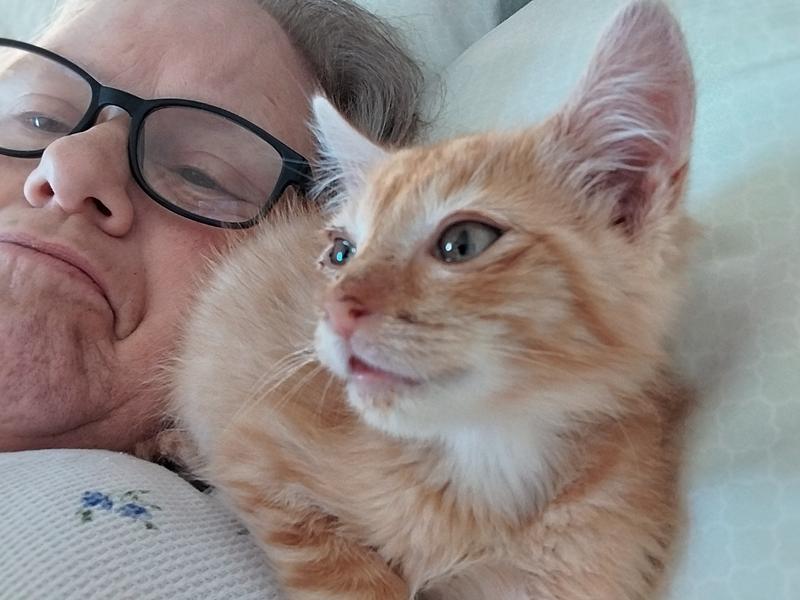 Photo - commentaire&nbsp;1.