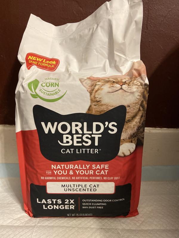 Best cat litter reviews best sale