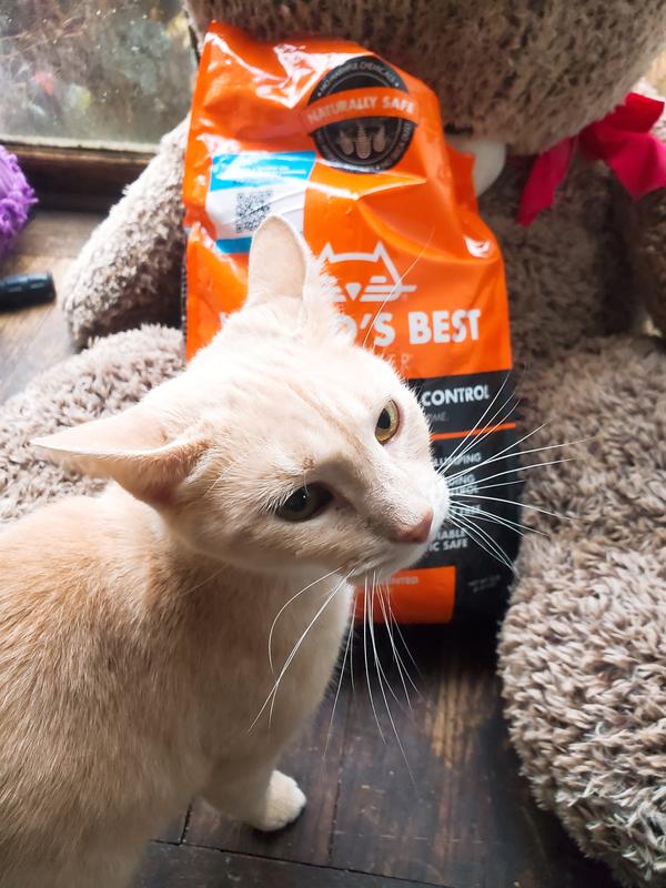 World s Best Cat Litter Low Tracking Dust Control 6.8 kg Ren s Pets