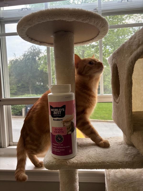 WORLD'S BEST CAT LITTER® Boosters™ Good Habits™ | Natural