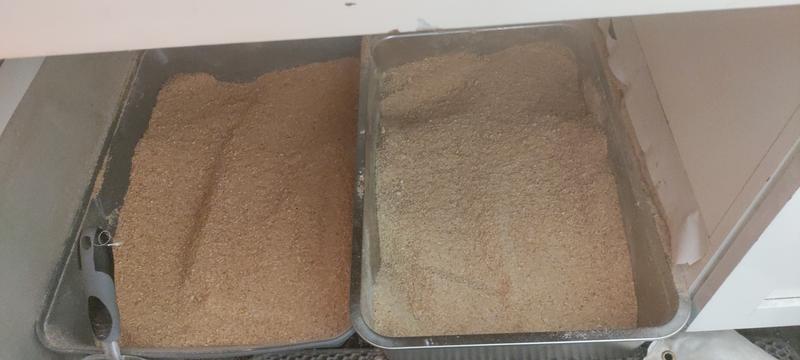 Catalyst is on the left they use yours on the right it's pretty funny cuz they cover it up with the catalyst when it's time to renew they're both going to be yours I ordered some from chewies it's on its way