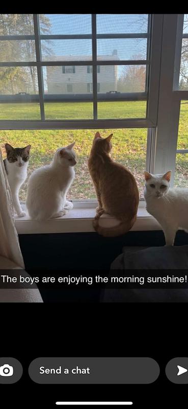 My Four Boys.