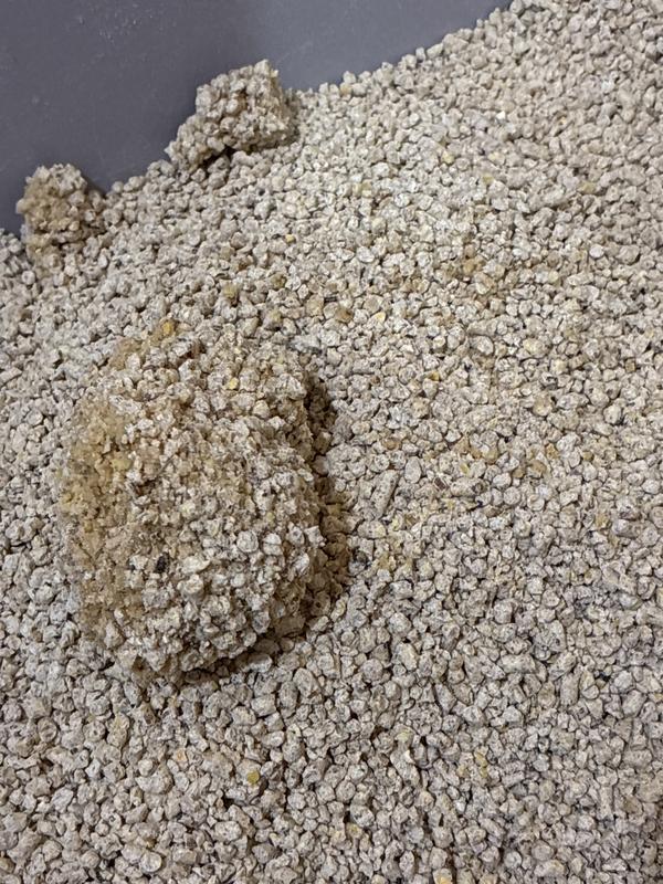 Broken clump with darker coloured litter dispersed around.