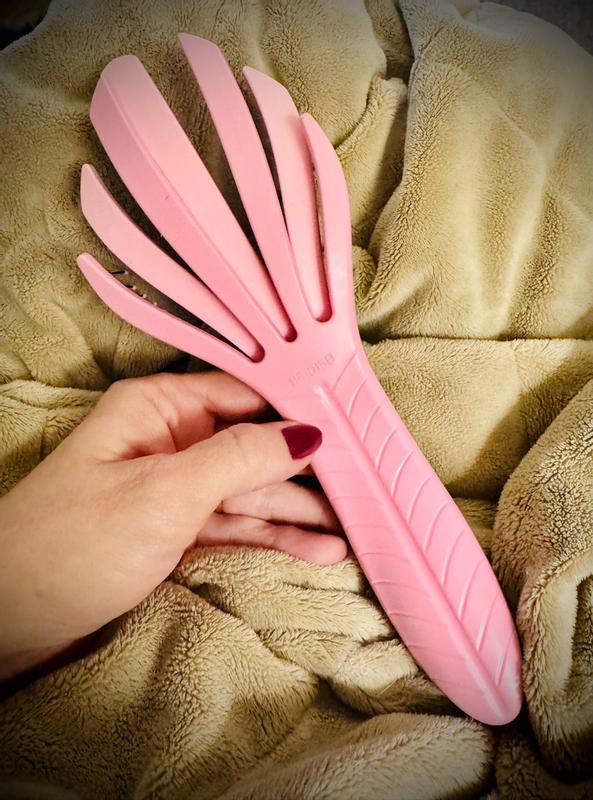 Photo from lauriet38_6204