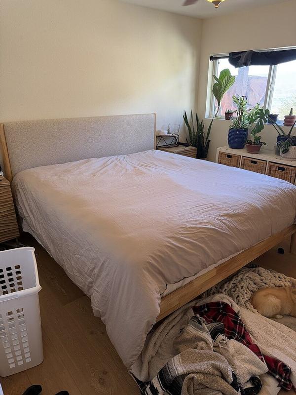 Review Thumbnail Image 1 387066574