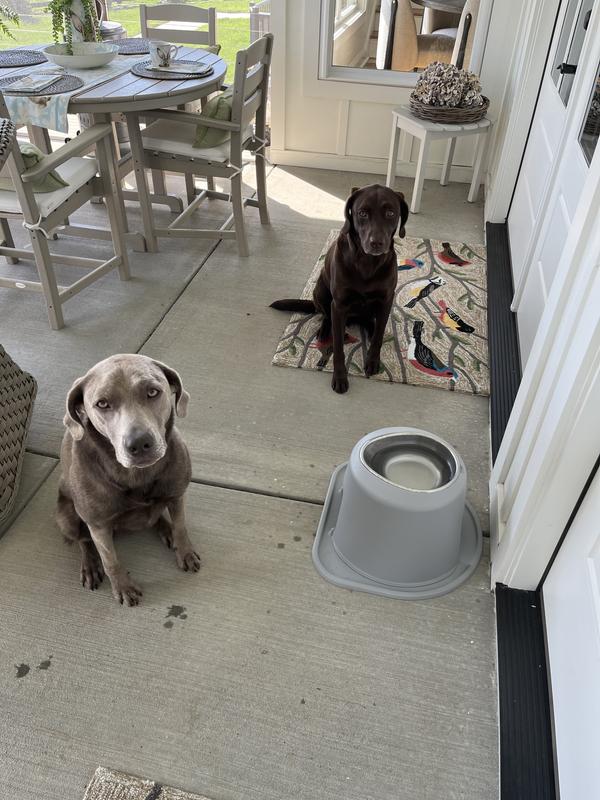 Elevated Dog Bowls Cat Dishes Custom Pet Feeder WeatherTech