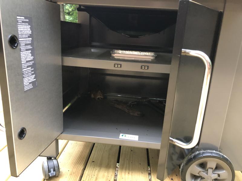 Photo submitted with review of product