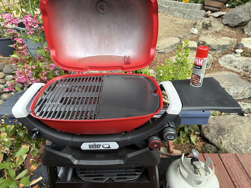 Shop Weber Q 1200 Portable Gas Grill with Griddle Accessories at