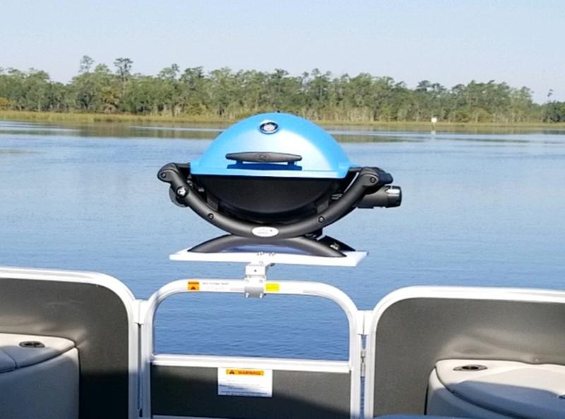 Weber Q1200 Portable Propane Gas Grill