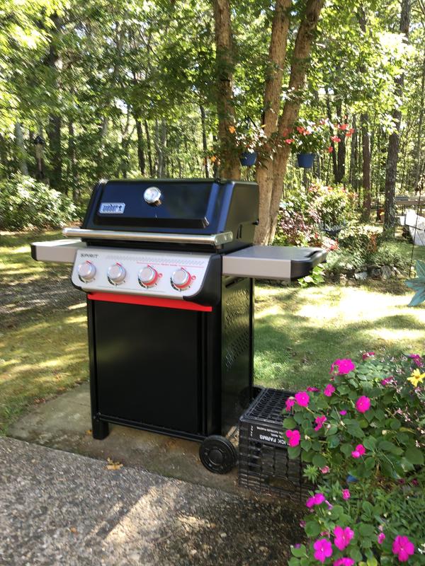 Photo - commentaire 7.