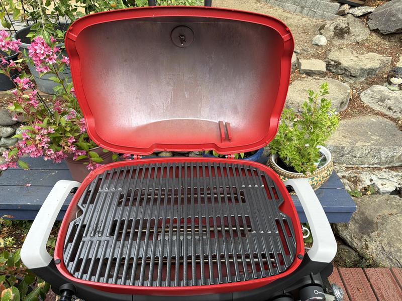 Shop Weber Q 1200 Portable Gas Grill with Griddle Accessories at