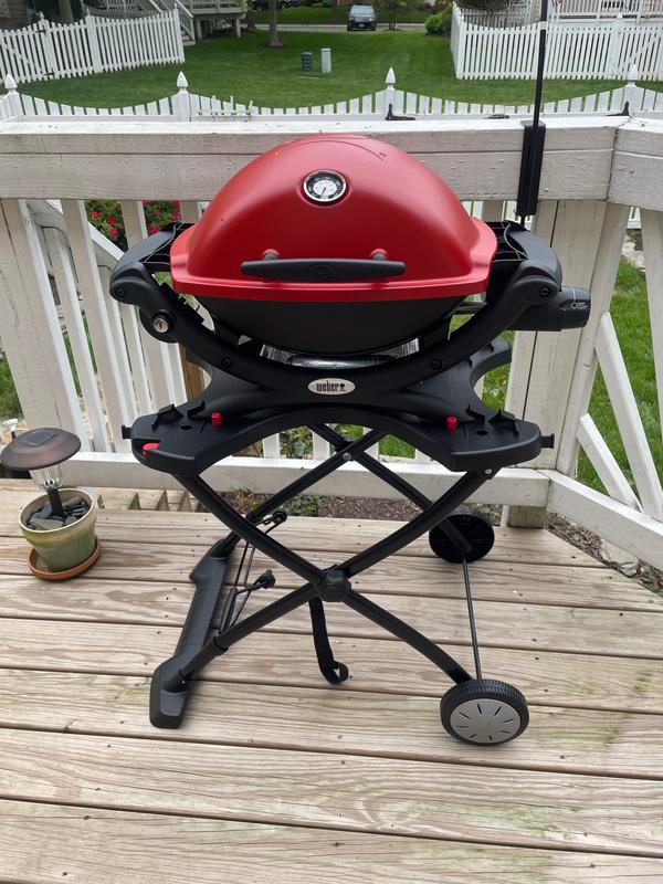 Weber Q 1200 1-Burner Portable Propane Gas Grill Combo in Titanium