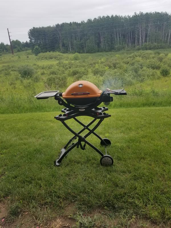 Weber Q1200 Portable Liquid Propane Gas Grill