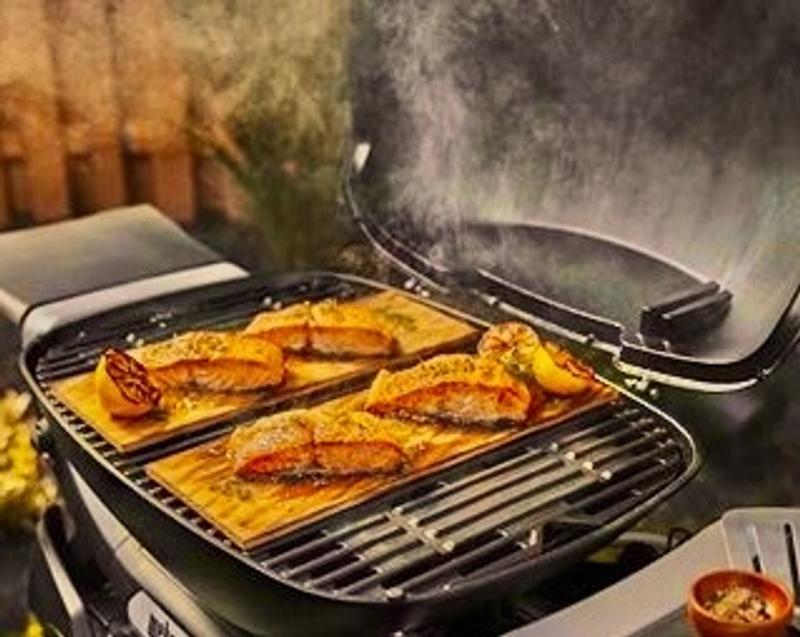Have a question about Weber Q 2800N+ Portable Liquid Propane Gas