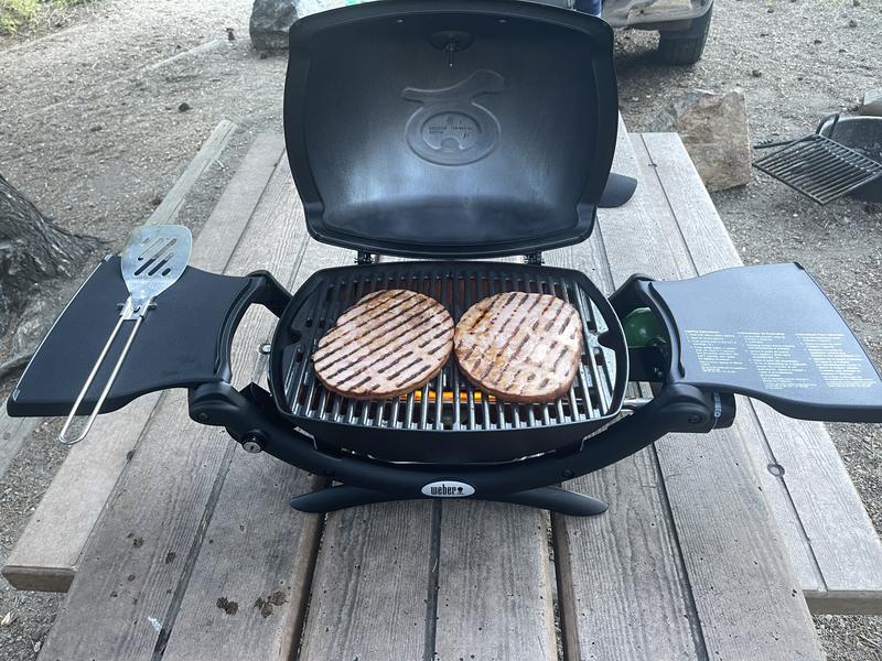 Weber q2100 hotsell