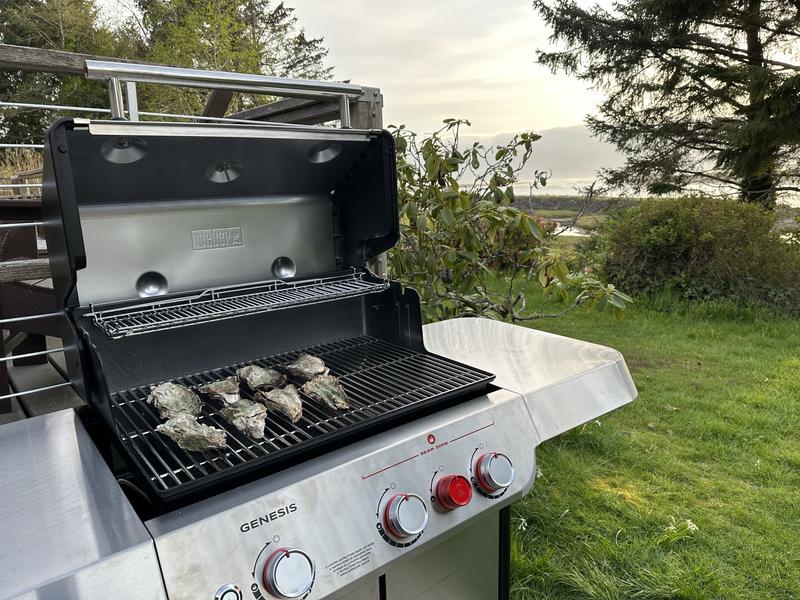  Weber Genesis EX-325S Natural Gas Smart Grill, Black : Patio,  Lawn & Garden