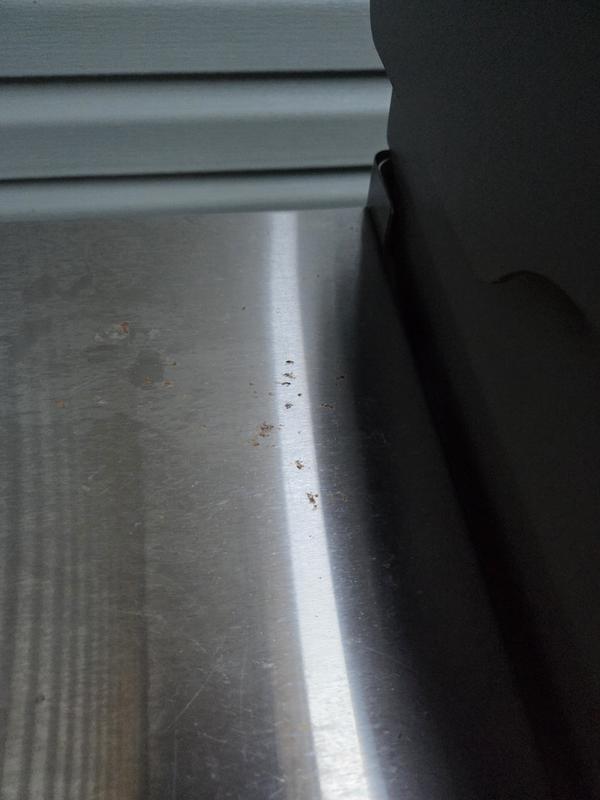 Photo submitted with review of product